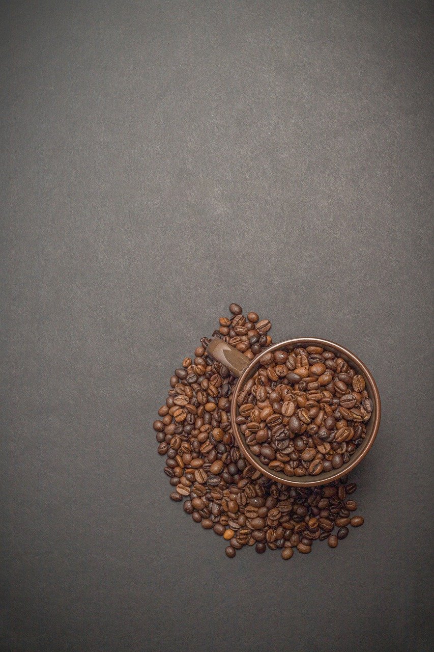 Foto_5